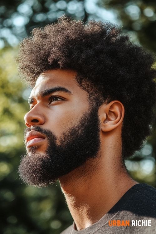 Short Tapered Afro with Beard